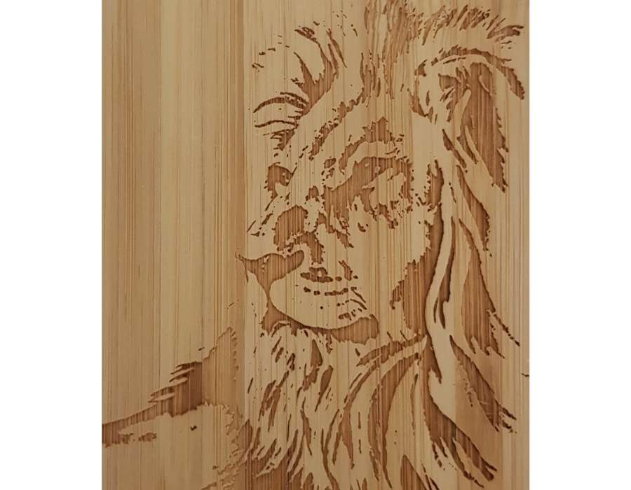 LÖWE coque arrière Huawei P10
